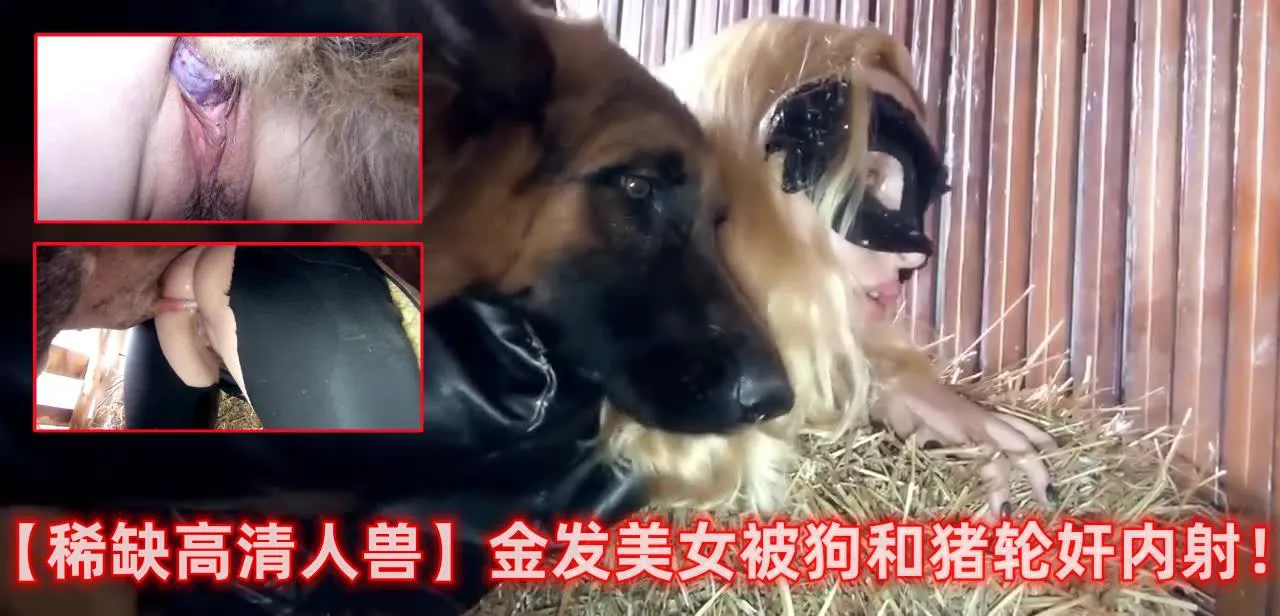 【稀缺高清人兽】金发美女被狗和猪轮奸内射！